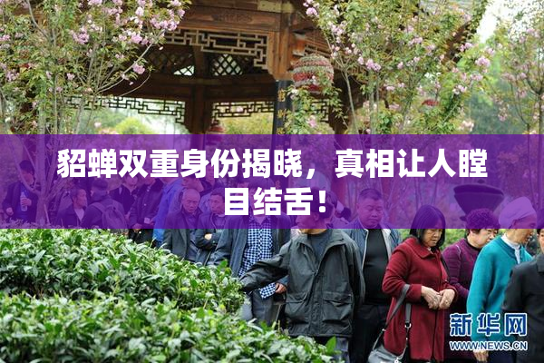 貂蝉双重身份揭晓，真相让人瞠目结舌！