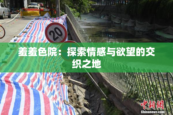 羞羞色院：探索情感与欲望的交织之地