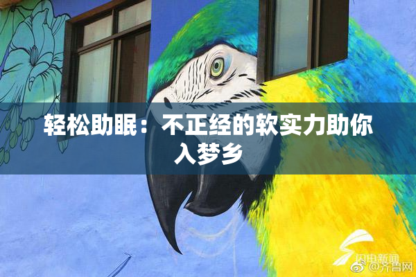 轻松助眠：不正经的软实力助你入梦乡