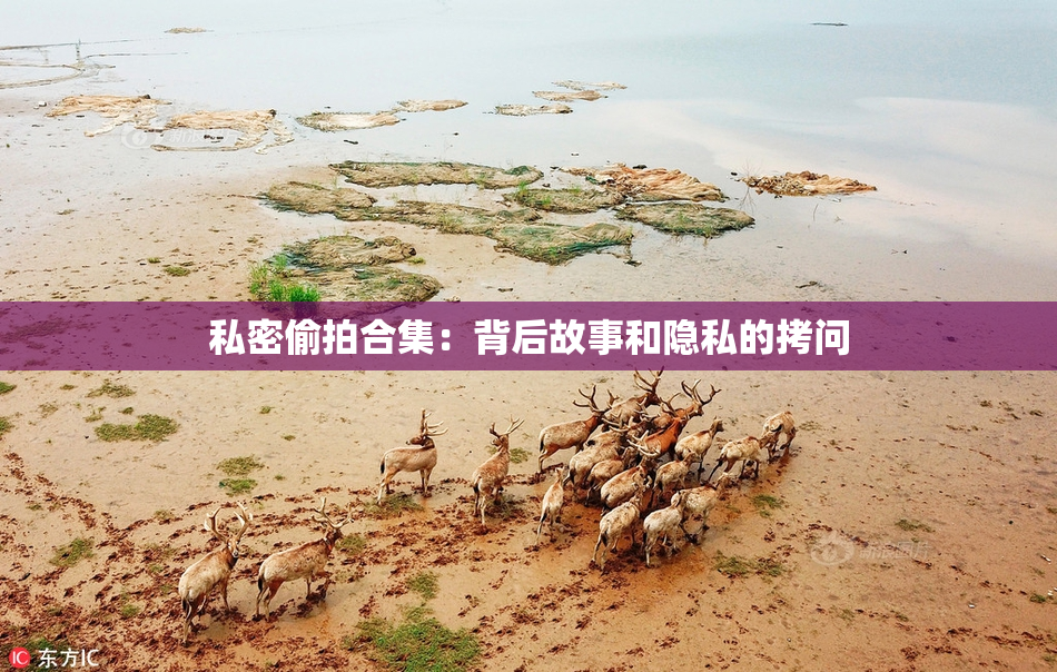 私密偷拍合集：背后故事和隐私的拷问