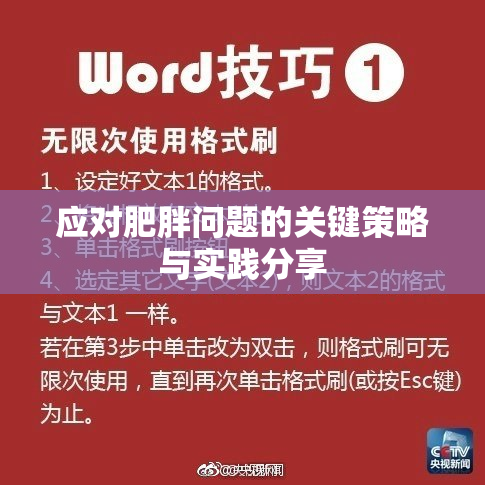 应对肥胖问题的关键策略与实践分享