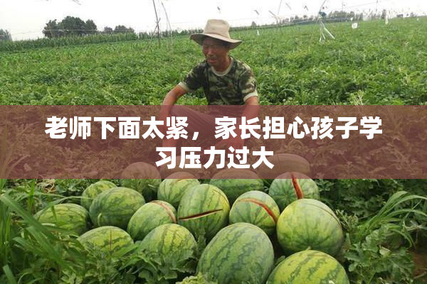 老师下面太紧，家长担心孩子学习压力过大