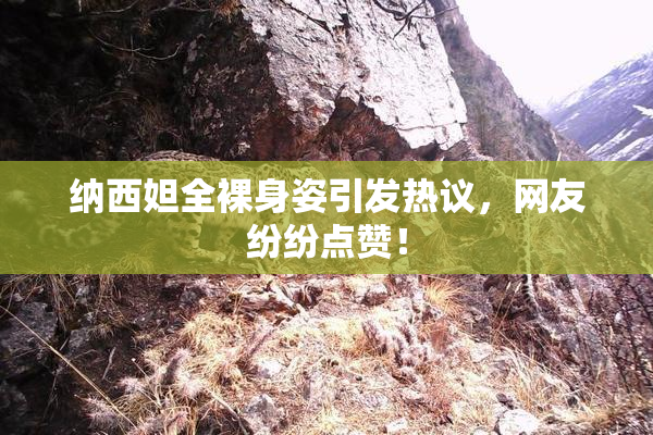 纳西妲全裸身姿引发热议，网友纷纷点赞！