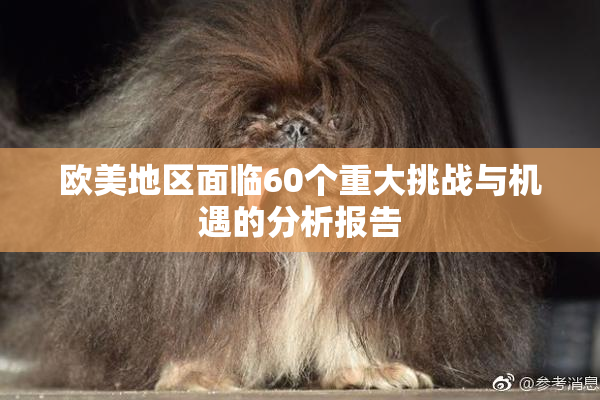 欧美地区面临60个重大挑战与机遇的分析报告