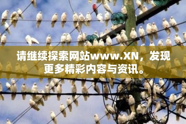 请继续探索网站www.XN，发现更多精彩内容与资讯。