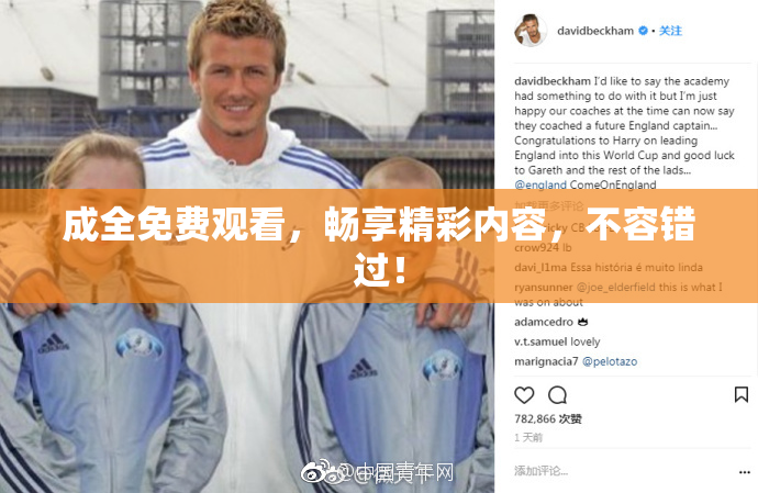 成全免费观看，畅享精彩内容，不容错过！