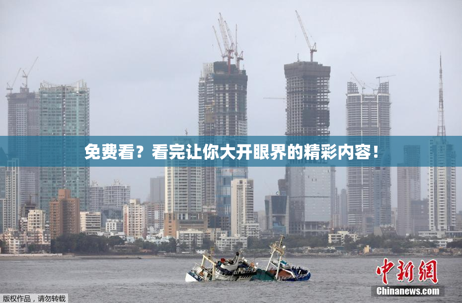 免费看？看完让你大开眼界的精彩内容！