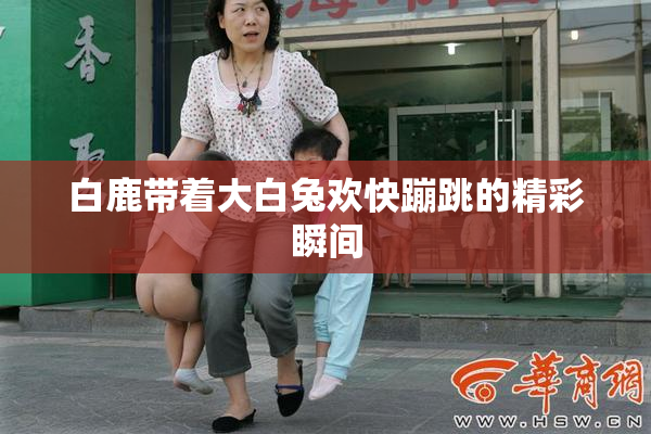 白鹿带着大白兔欢快蹦跳的精彩瞬间