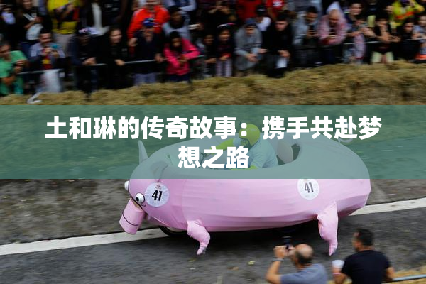 土和琳的传奇故事：携手共赴梦想之路