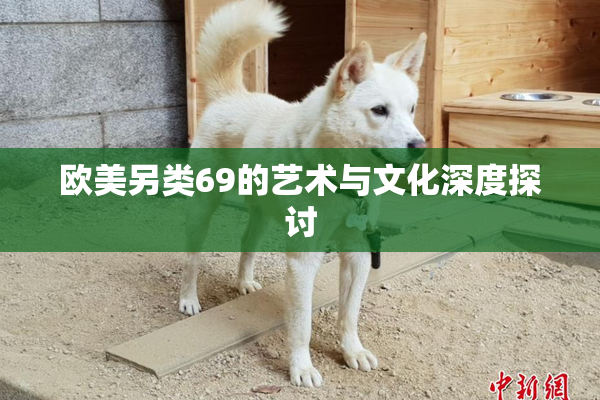 欧美另类69的艺术与文化深度探讨