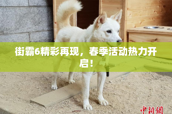 街霸6精彩再现，春季活动热力开启！