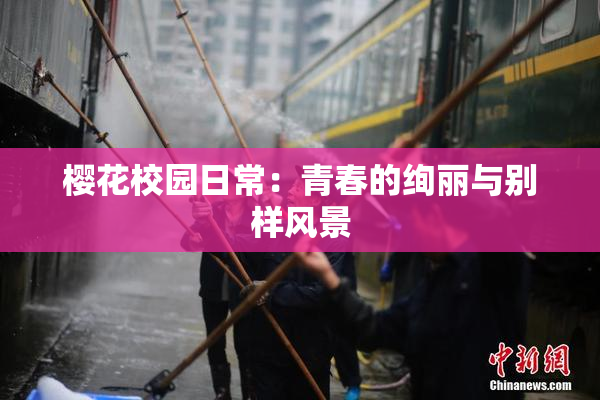 樱花校园日常：青春的绚丽与别样风景