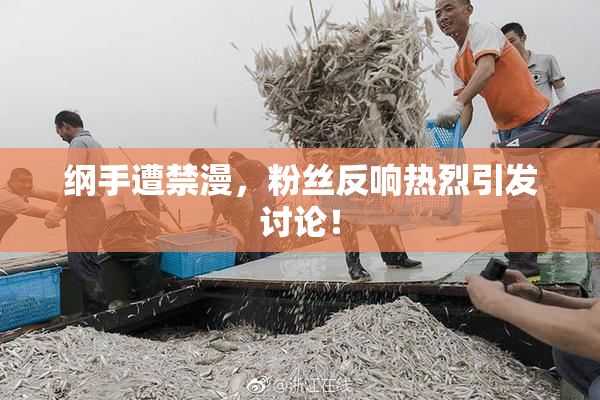 纲手遭禁漫，粉丝反响热烈引发讨论！