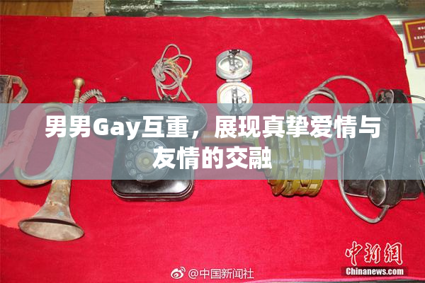 男男Gay互重，展现真挚爱情与友情的交融