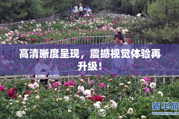高清晰度呈现，震撼视觉体验再升级！