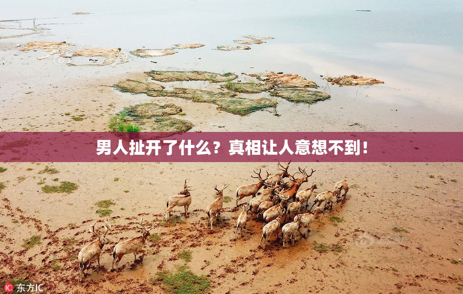男人扯开了什么？真相让人意想不到！