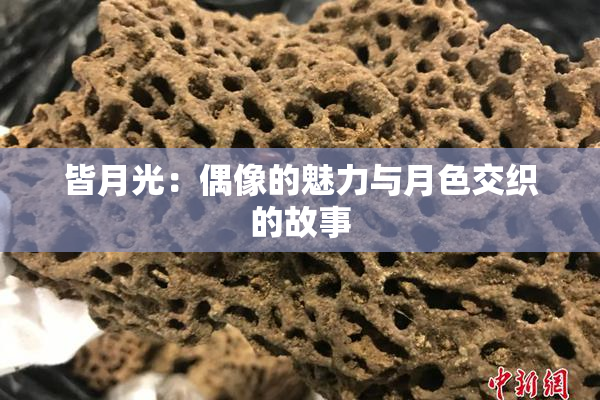 皆月光：偶像的魅力与月色交织的故事