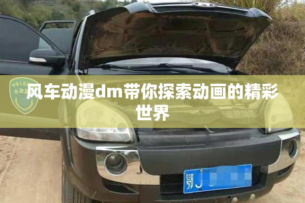 风车动漫dm带你探索动画的精彩世界