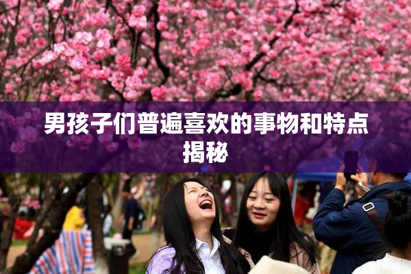 男孩子们普遍喜欢的事物和特点揭秘