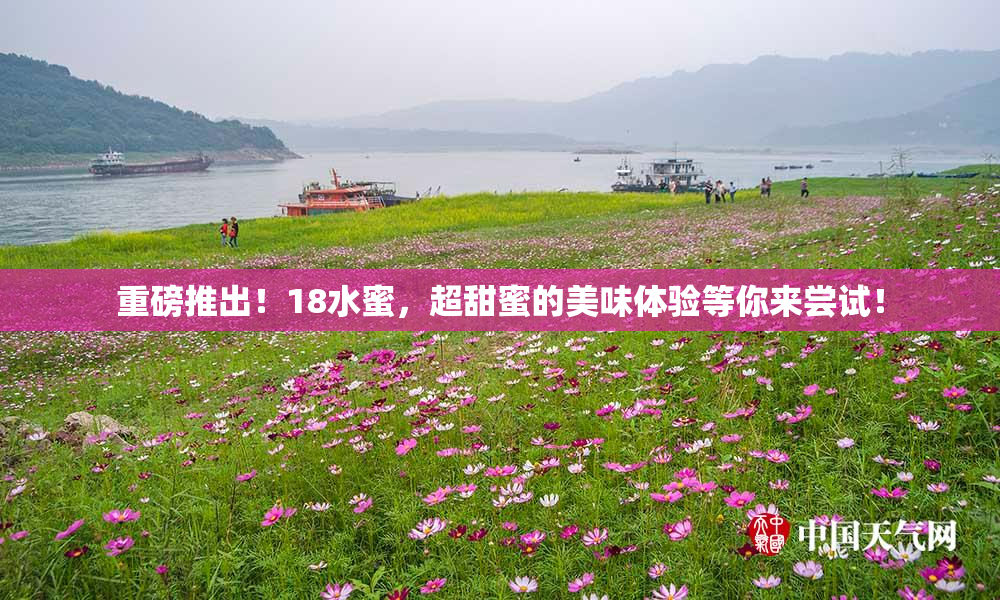 重磅推出！18水蜜，超甜蜜的美味体验等你来尝试！