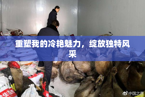 重塑我的冷艳魅力，绽放独特风采