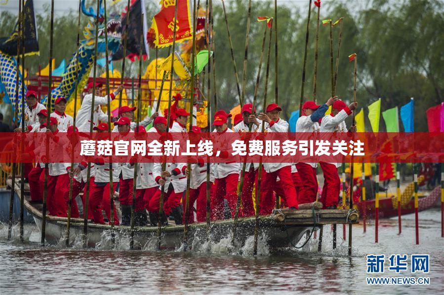 蘑菇官网全新上线，免费服务引发关注