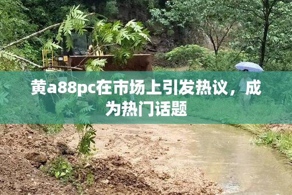 黄a88pc在市场上引发热议，成为热门话题