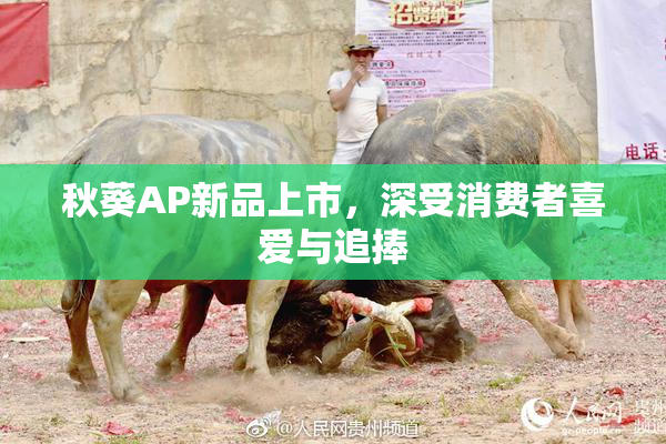 秋葵AP新品上市，深受消费者喜爱与追捧