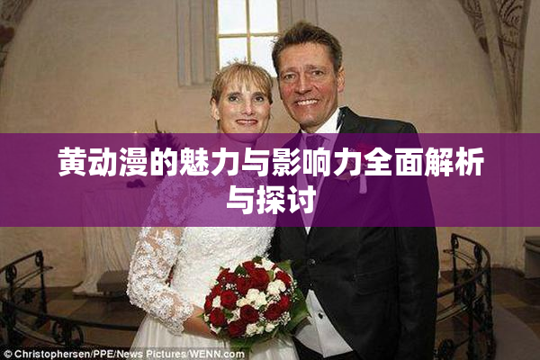 黄动漫的魅力与影响力全面解析与探讨