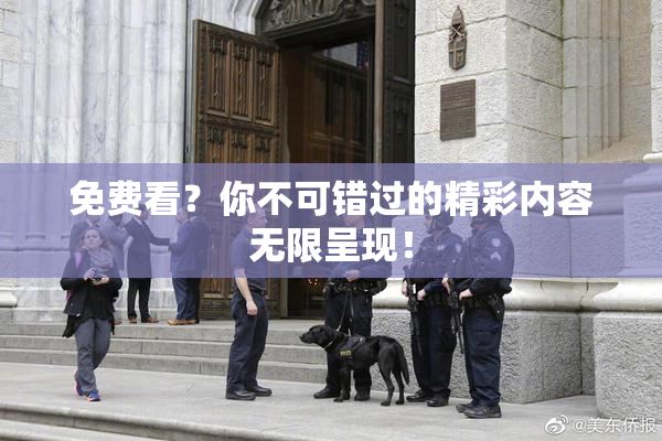 免费看？你不可错过的精彩内容无限呈现！