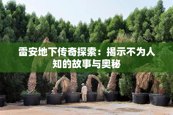 雷安地下传奇探索：揭示不为人知的故事与奥秘
