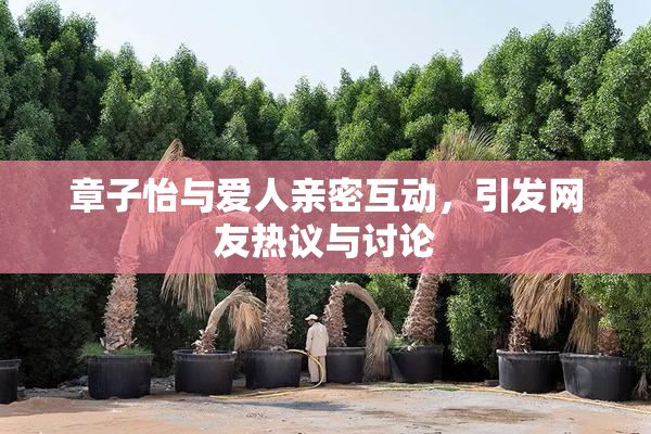 章子怡与爱人亲密互动，引发网友热议与讨论