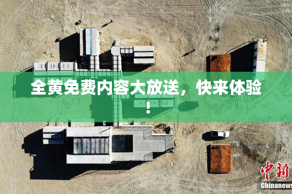 全黄免费内容大放送，快来体验！