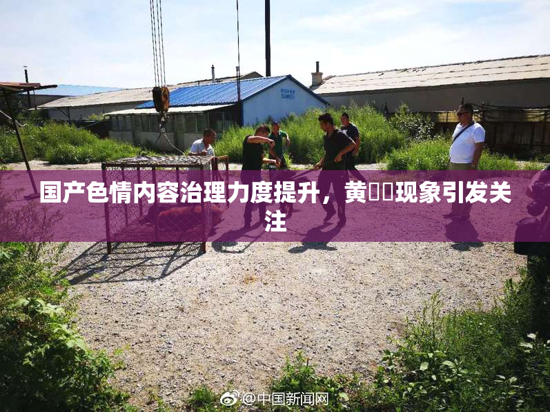 国产色情内容治理力度提升，黄❌‌现象引发关注
