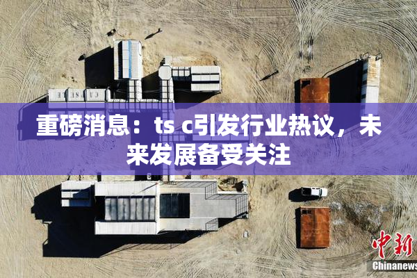 重磅消息：ts c引发行业热议，未来发展备受关注