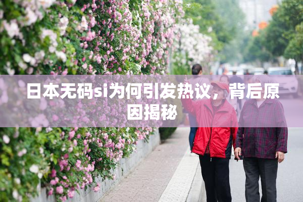 日本无码si为何引发热议，背后原因揭秘