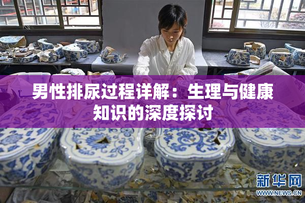 男性排尿过程详解：生理与健康知识的深度探讨