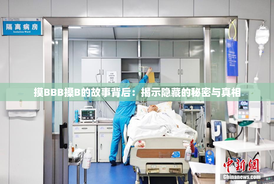 摸BBB搡B的故事背后：揭示隐藏的秘密与真相