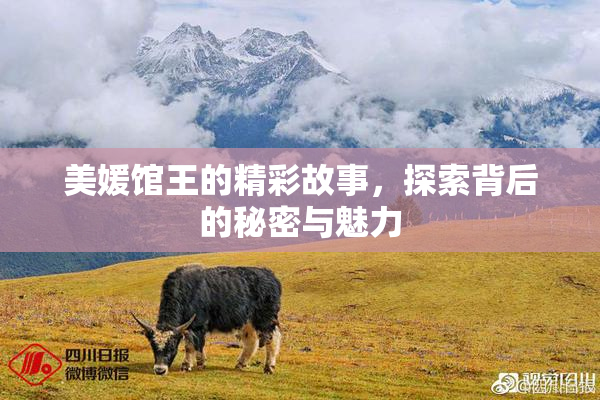 美媛馆王的精彩故事，探索背后的秘密与魅力