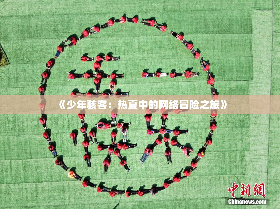 《少年骇客：热夏中的网络冒险之旅》