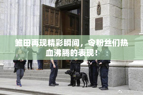 雏田再现精彩瞬间，令粉丝们热血沸腾的表现！