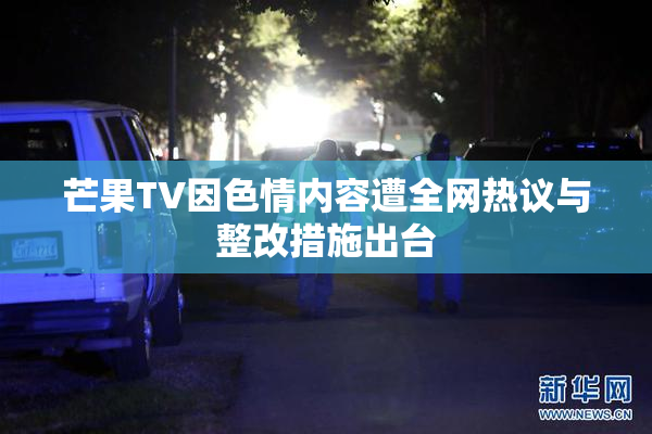 芒果TV因色情内容遭全网热议与整改措施出台