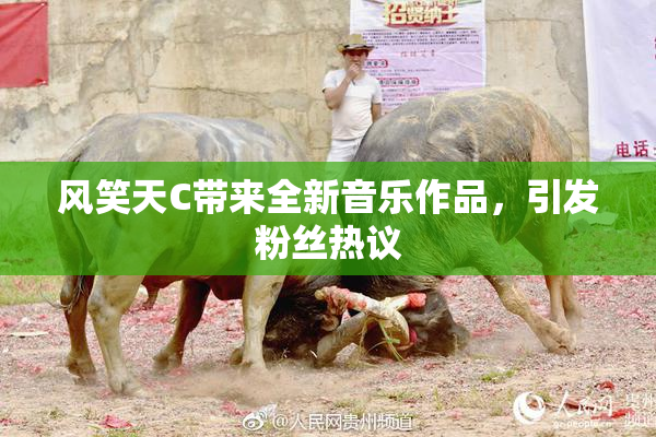 风笑天C带来全新音乐作品，引发粉丝热议