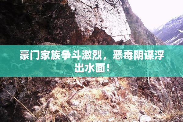 豪门家族争斗激烈，恶毒阴谋浮出水面！
