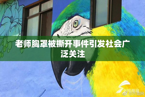 老师胸罩被撕开事件引发社会广泛关注