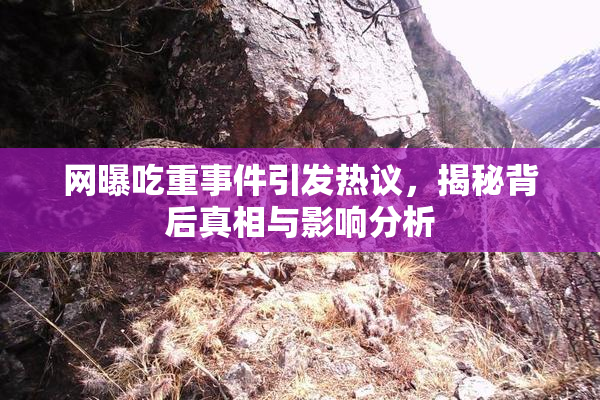 网曝吃重事件引发热议，揭秘背后真相与影响分析