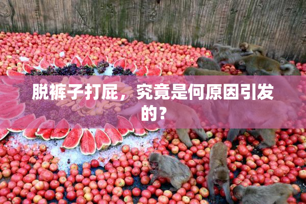 脱裤子打屁，究竟是何原因引发的？