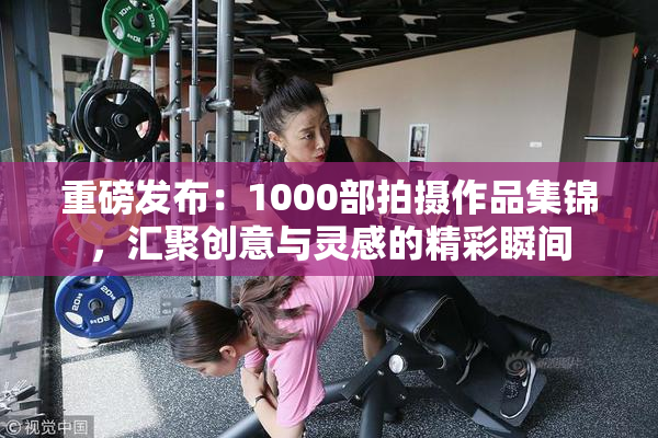 重磅发布：1000部拍摄作品集锦，汇聚创意与灵感的精彩瞬间