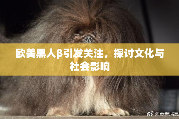 欧美黑人β引发关注，探讨文化与社会影响