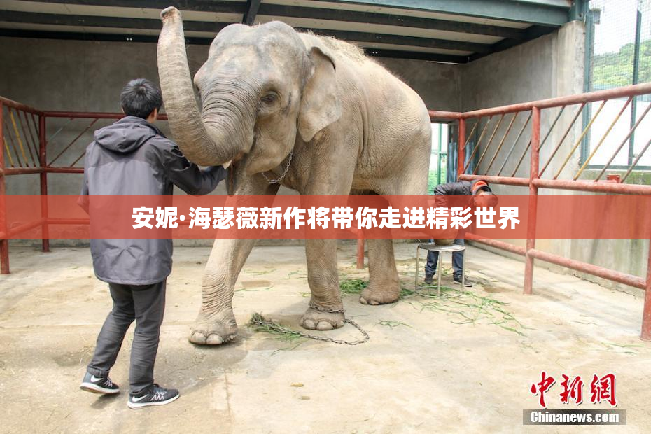 安妮·海瑟薇新作将带你走进精彩世界